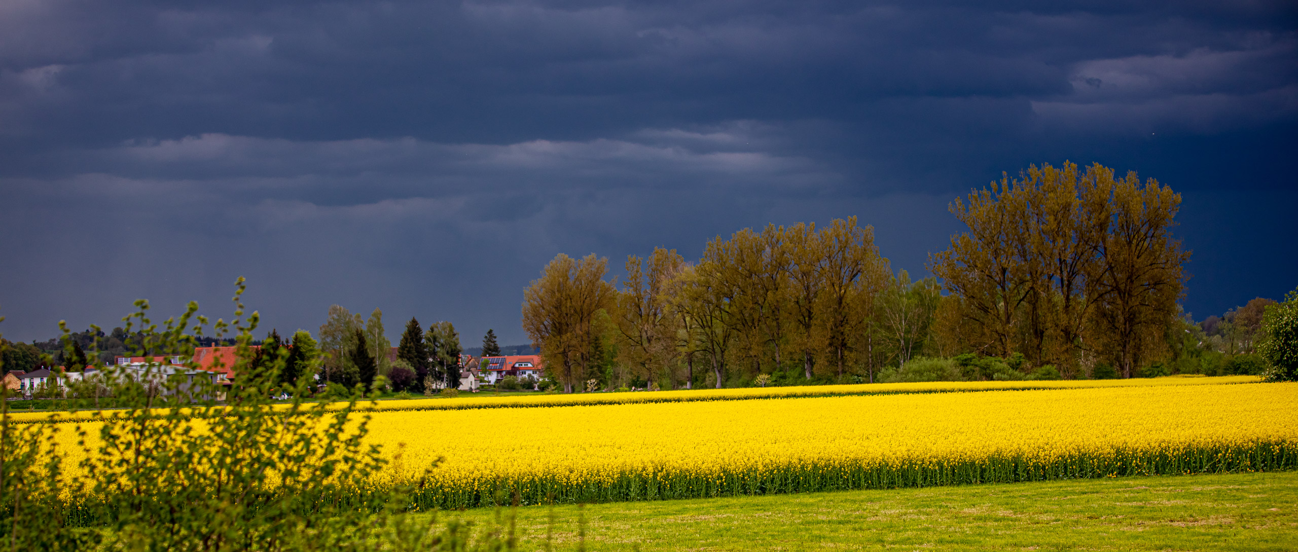 20230507154615 RD4 4017